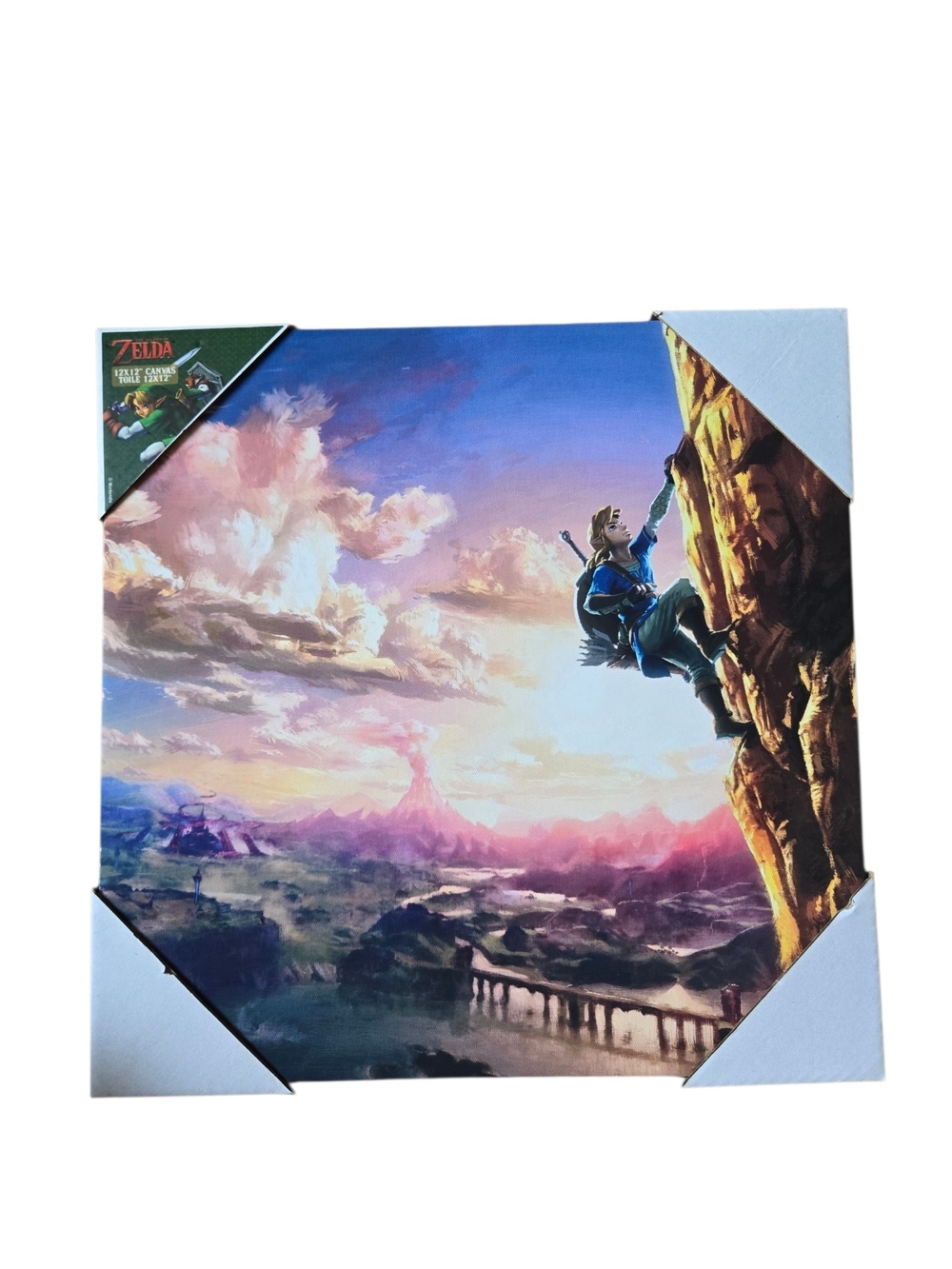 The Legend of Zelda Breath of the Wild Stretched Canvas Wall Art – Link